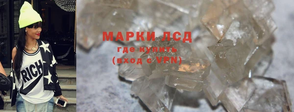 прущие грибы Абдулино